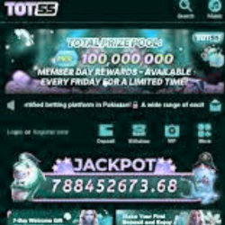 Tot55 Game all Home image